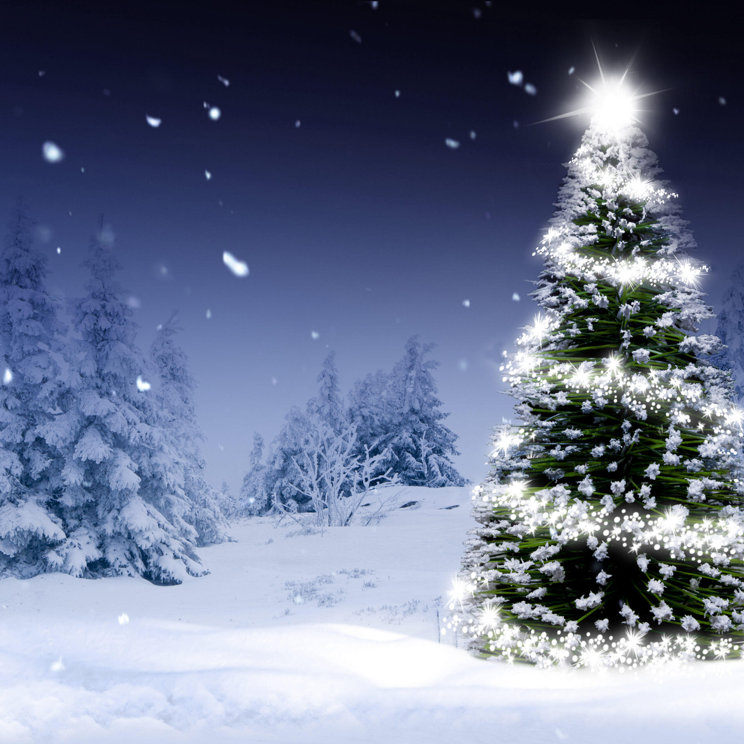 Shining Christmas tree in a snowy winter forest