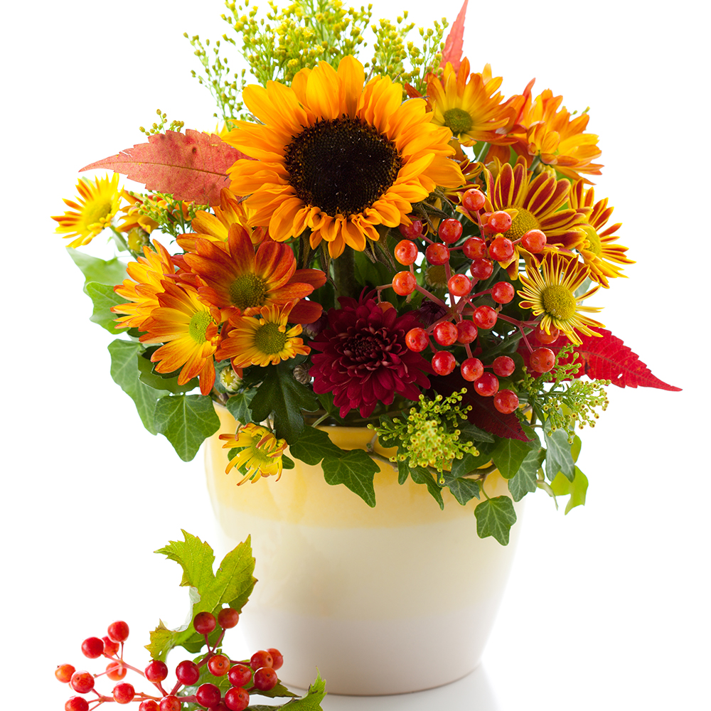 still life with autumnal flowers and berries